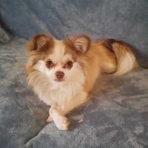 Meet your Posher, Sheila